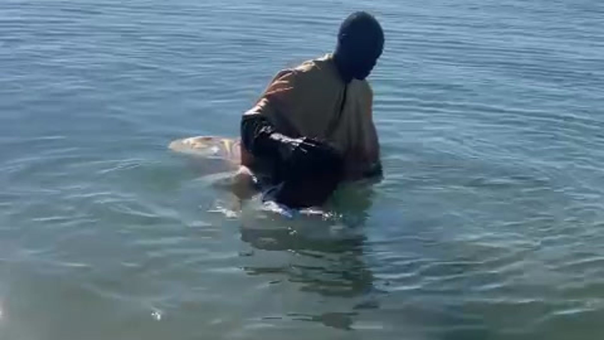 Extrait d'un baptême